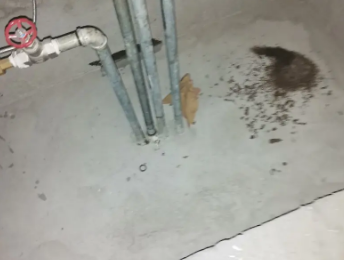 社旗卫生间测漏水价格明细