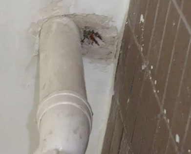 社旗漏水检测哪家好